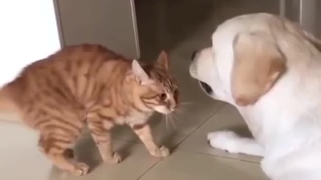 They can't be friends