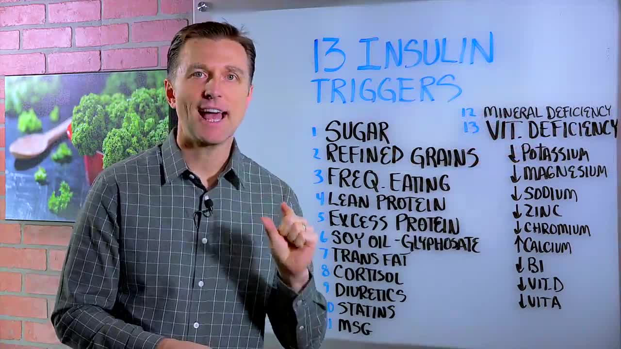 DrBerg-13 Things That Spike Insulin Resistance