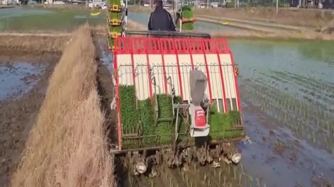 Now paddy cultivation will be done by machines