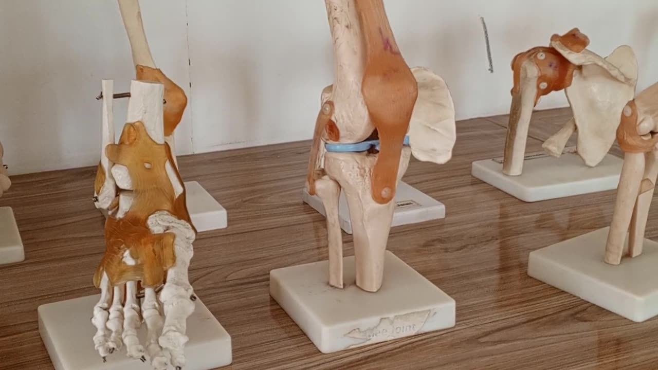 Bones