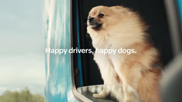 Volvo Trucks – Happy drivers, happy dogs