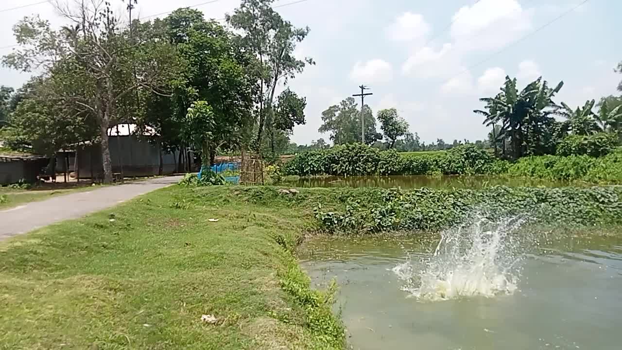 Little boy jump in the pond