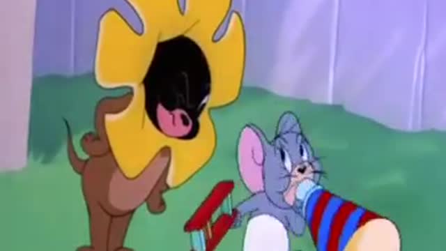 Tom & Jerry | Tom & Jerry in Full Screen | Classic Cartoon Compilation | WB Kids #### /