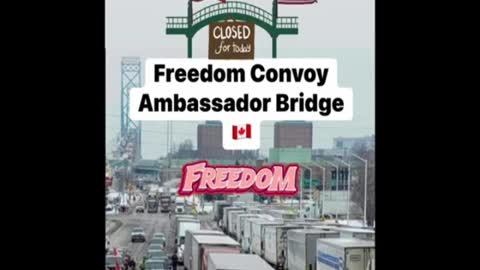 The Freedom Convoy have now blocked the Ambassador bridge