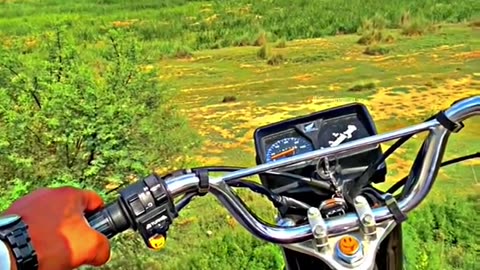 bike rider