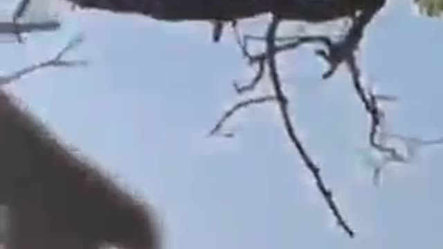 Destruction of 2 Russian tanks from the 1st person of an Ukrainian soldier