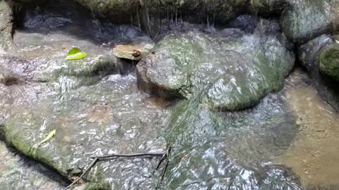 Peaceful Falls
