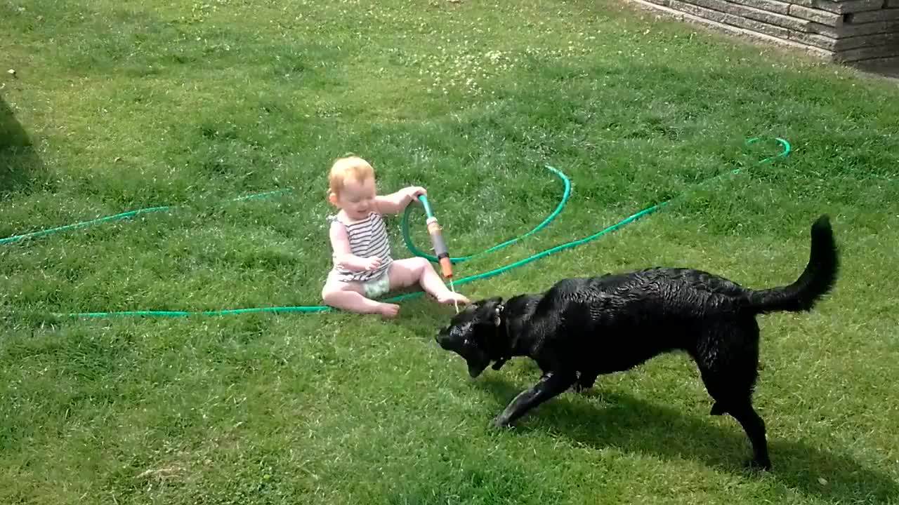 A giggling baby is having fun with a dog and some water.