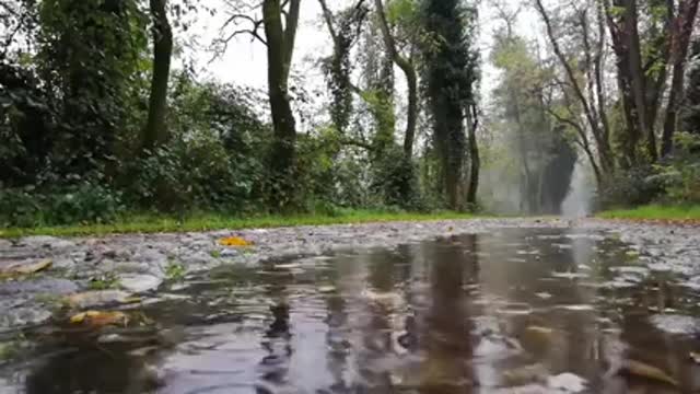 SOM DE CHUVA LEVE E CALMA - PARA RELAXAR