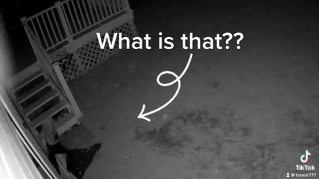 Are these Ghosts?