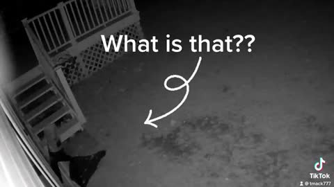 Are these Ghosts?
