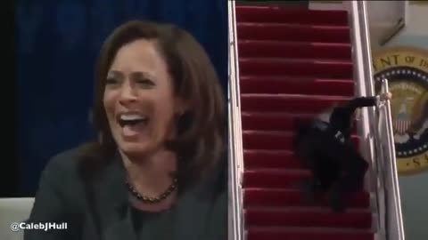 Kamala Harris realizing shes about to be President