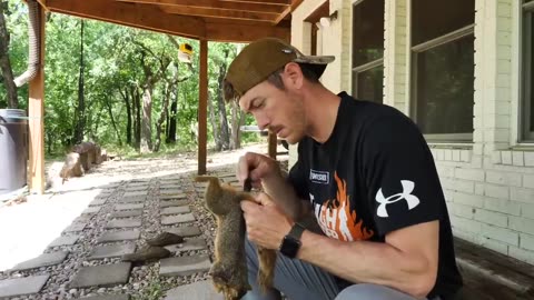 Backyard Squirrel with AirGun | CATCH CLEAN COOK Buttermilk Fried!