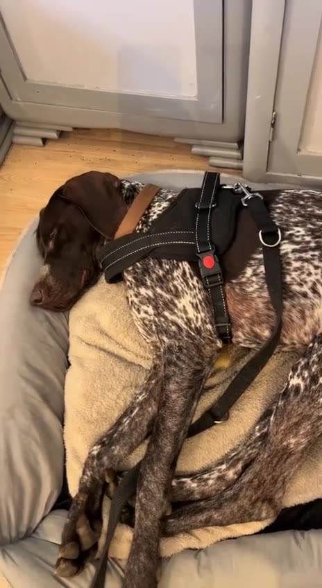 My old car in minus 30 degrees weather