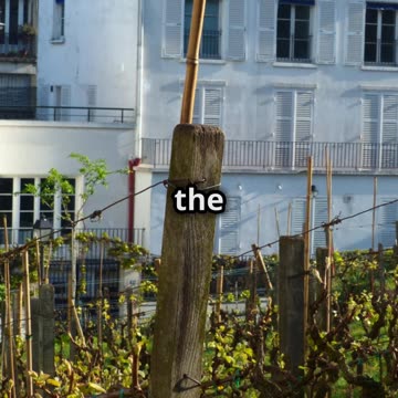 5 fascinating things about Paris You Didn't Know