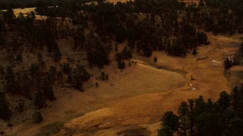 Cave Hills National Forest