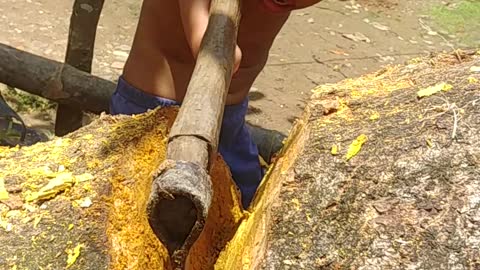 Inspiring Boy Chops Wood