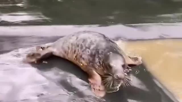 Slip sliding into the weekend like🙃