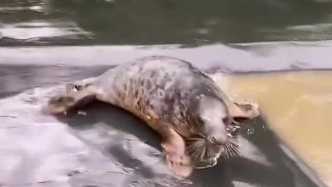 Slip sliding into the weekend like🙃