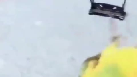 Funny singing parrot