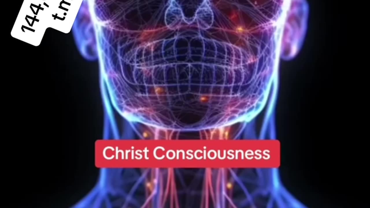 THE CHRIST OIL AND THE CEREBROSPINAL SYSTEM