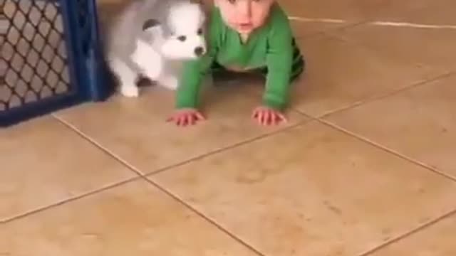 Baby and baby playing together