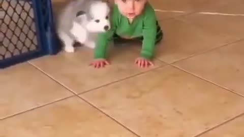 Baby and baby playing together