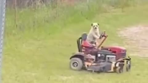 Bro couldn't believe his eyes 😳🤣