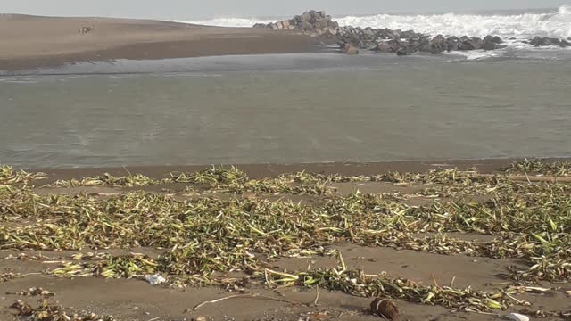 Beach Trisik of Yogyakarta Java Island Indonesia