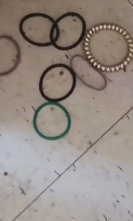 Cat. You been busted 🤣