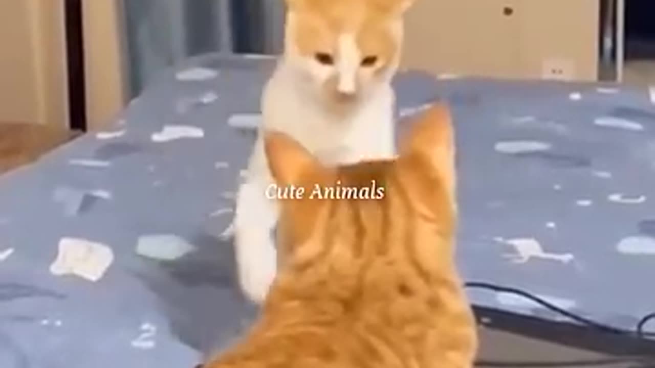 Most funny trending animal video 😅. Try not to laugh challenge 🤣😅🤣