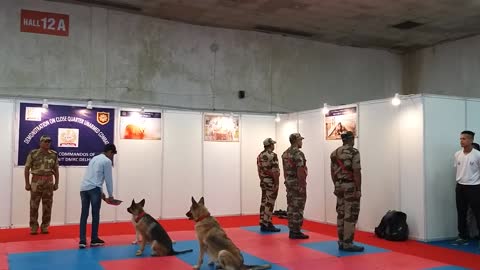 Dog training video