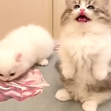 Look look look grow up