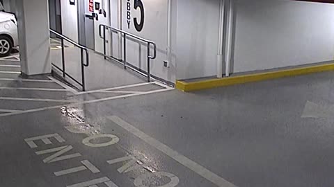 6080RHOBG3G305ANorthLobbyEntry_2021-01-06_13h40min03s233ms.mp4