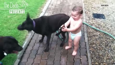 Babies Laughing At Pets The Dodo_1080p