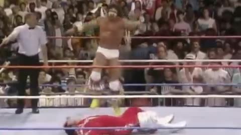 The Immortal Hulk Hogan