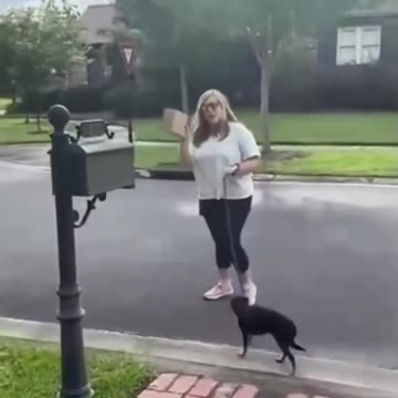 Yeah, this HAS to be a Biden/Harris voter HAHAHA