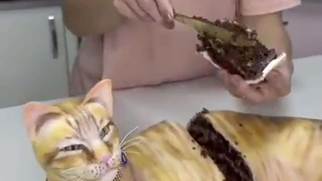 Delicious Cake