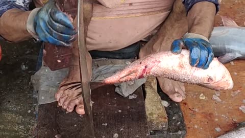 Big Rohu Fish Cutting By Expert Cutter l Fish Cutting Skills#shorts