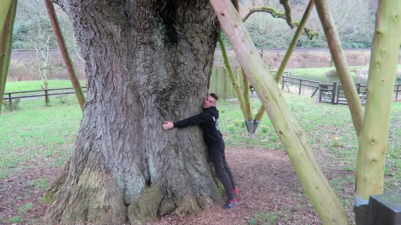 OUR LUXURY TREEHOUSE TOUR - LIVING IN A TREE