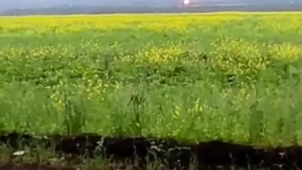 🇷🇺🇺🇦Footage of combat operations