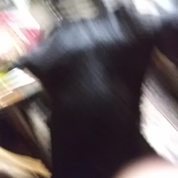 Play time wit da Feen