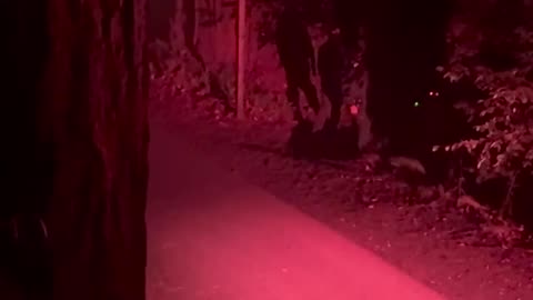 2024 Bohemian Grove - Cremation of Care - Full Footage - Filmed by Dancer