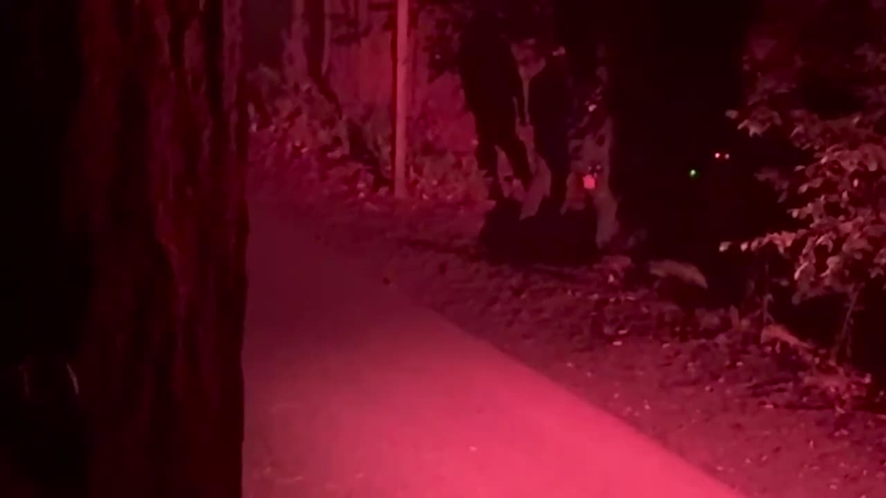 2024 Bohemian Grove - Cremation of Care - Full Footage - Filmed by Dancer