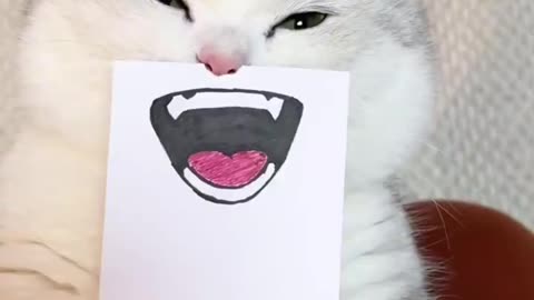 Giving a cat facial expressions