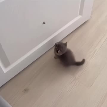 Strong hunting instincts before ability achieved