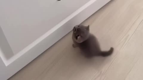 Strong hunting instincts before ability achieved