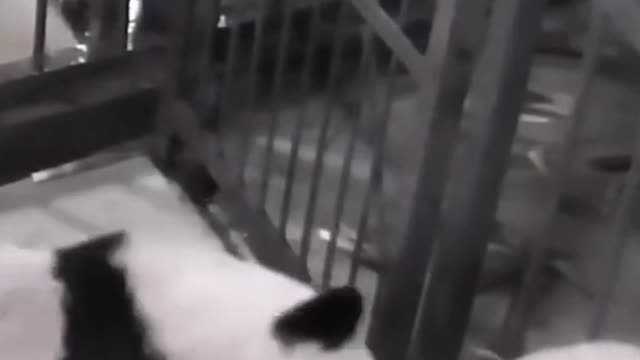 let me help you brother don't worry !!!!!