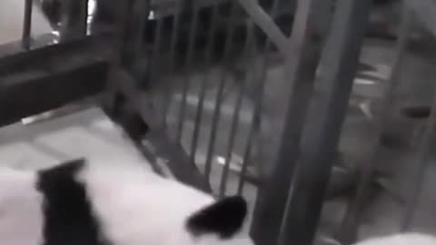 let me help you brother don't worry !!!!!