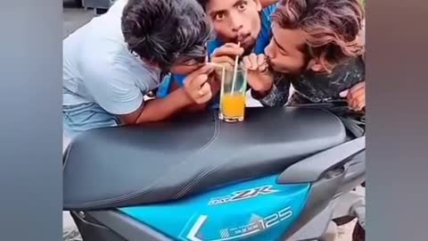 funny dog vs monkey video ll funny video ll comedy videos ll zili funny video